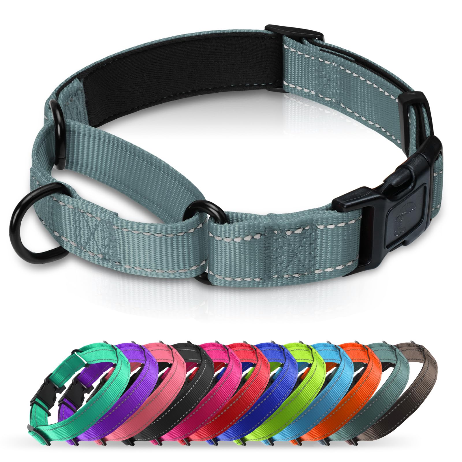 Erbine collar martingale con neopreno acolchado para mayor comodidad diaria del perro