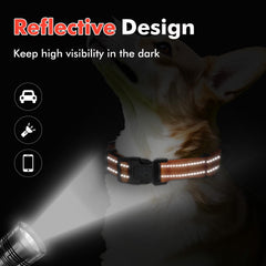Erbine collar martingale neopreno-confort protege el cuello durante paseos.