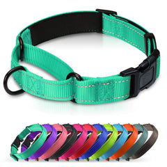Erbine collar martingale neopreno turquesa, tamaño M, para paseos diarios cómodos.