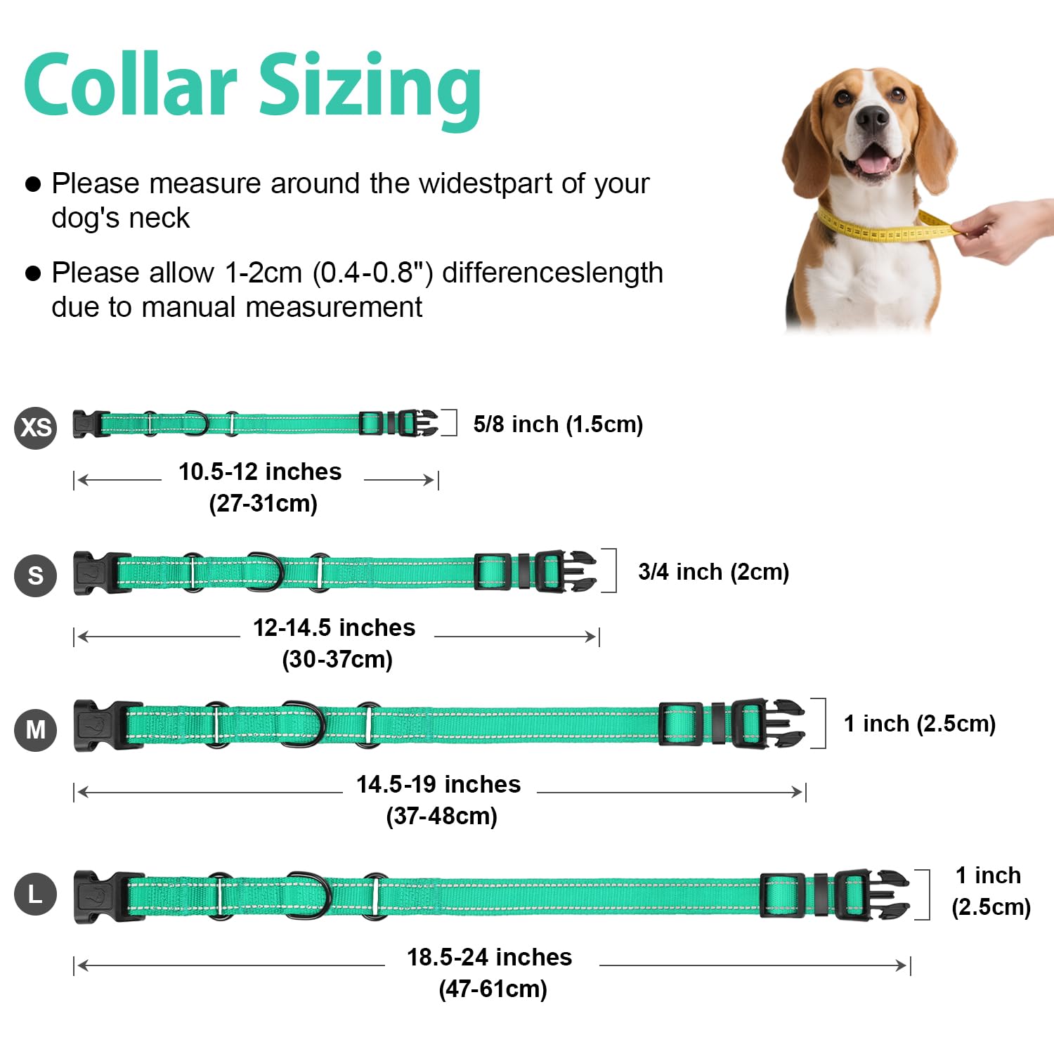 Erbine collar martingale para paseos nocturnos, seguridad y estilo en turquesa.