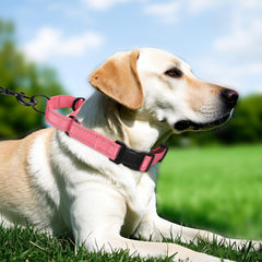 Erbine collar martingale reflectante neopreno, mayor visibilidad en caminatas