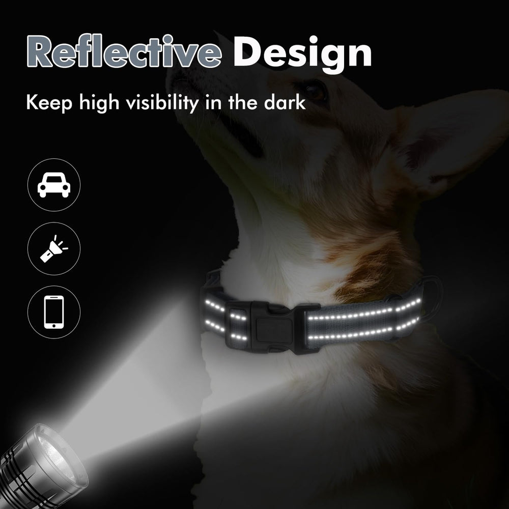 Banda reflectante del collar martingale Erbine para mayor visibilidad en oscuridad