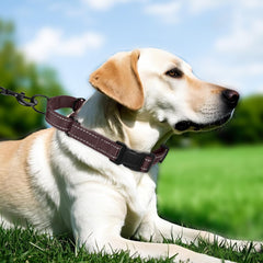 Erbine collar martingale reflectivo con cinta reflectante para mayor visibilidad en la oscuridad