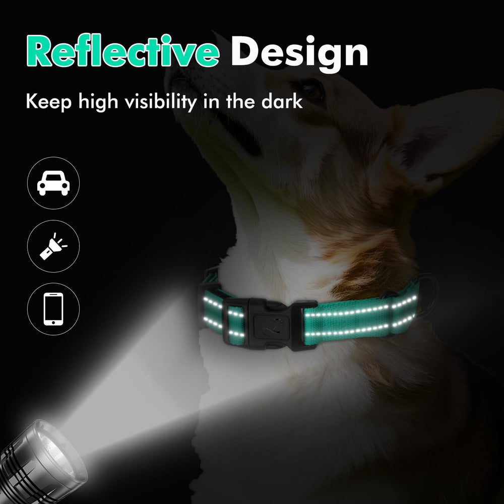 Erbine collar martingale reflectivo, mayor visibilidad en paseos vespertinos.
