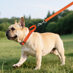 Erbine collar martingale reflectivo naranja mejora visibilidad durante caminatas.