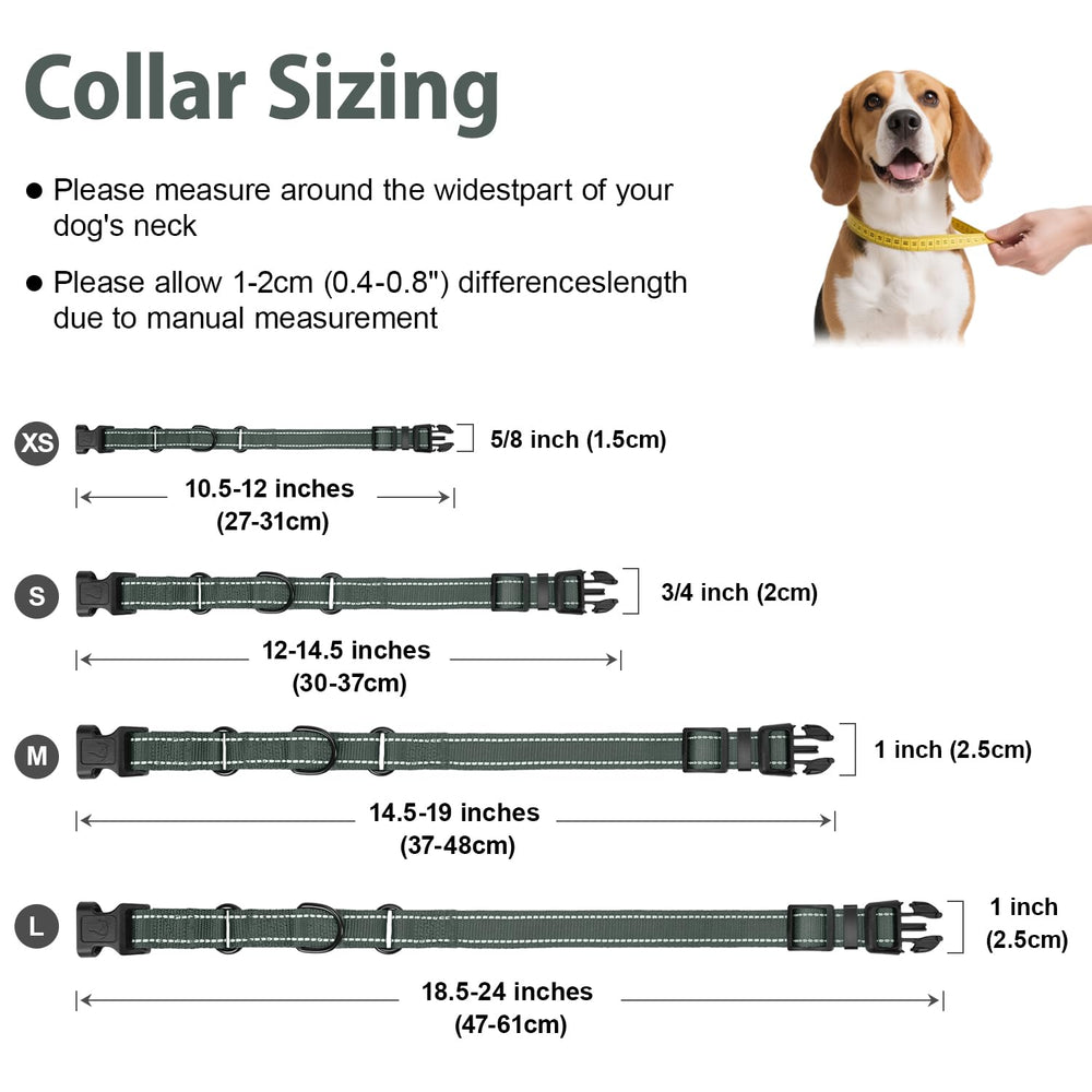 Tallas ajustables XS a L del collar martingale Erbine