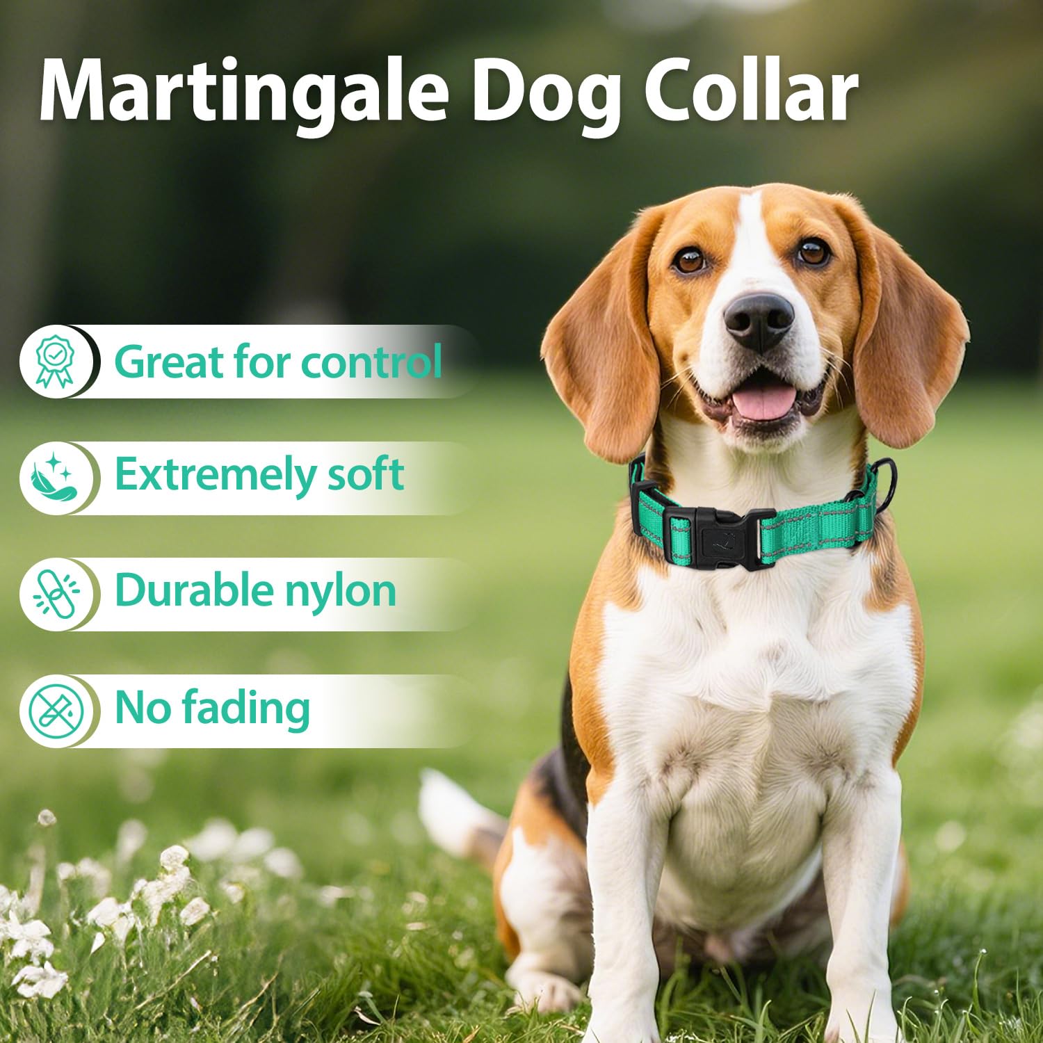 Erbine collar martingale de uso diario, cómodo y ajustable para perros de todas las razas.