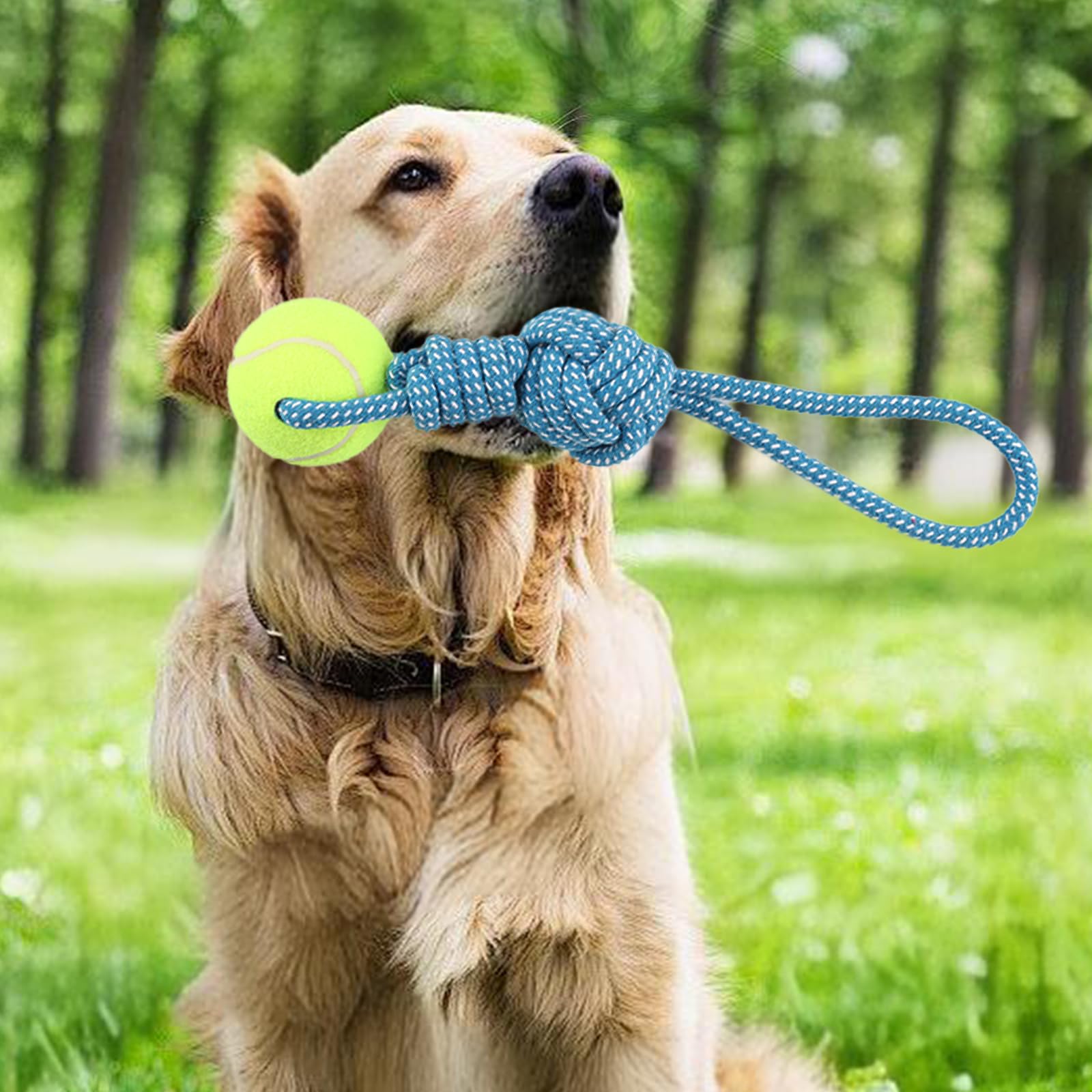 Erhalithegro Juguete de cuerda interactivo para perros, promueve actividad física y entretenimiento