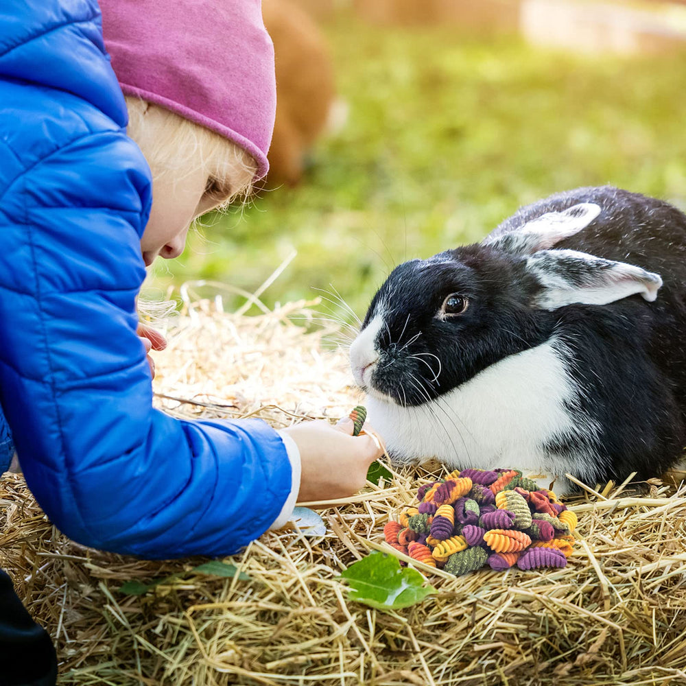 ERKOON Premio masticable animales pequeños ofrece recompensa suave y vínculo con tu mascota.