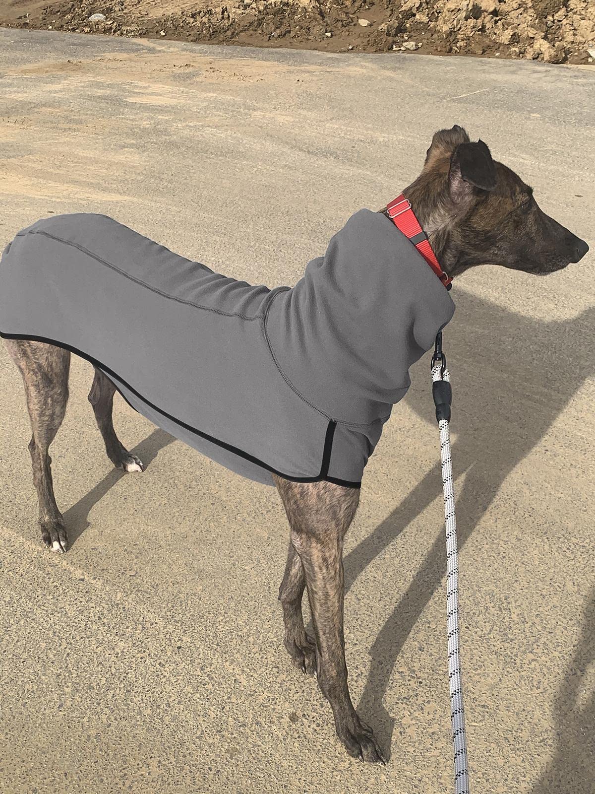 Esobo disponible en seis tallas, para perros pequeños, medianos y grandes.