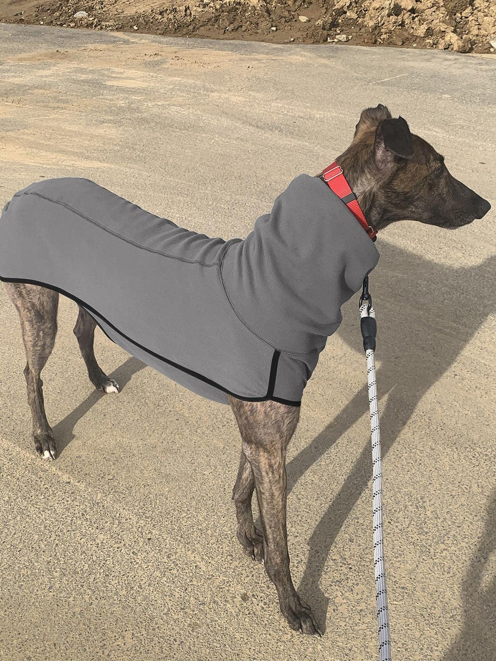 Esobo disponible en seis tallas, para perros pequeños, medianos y grandes.