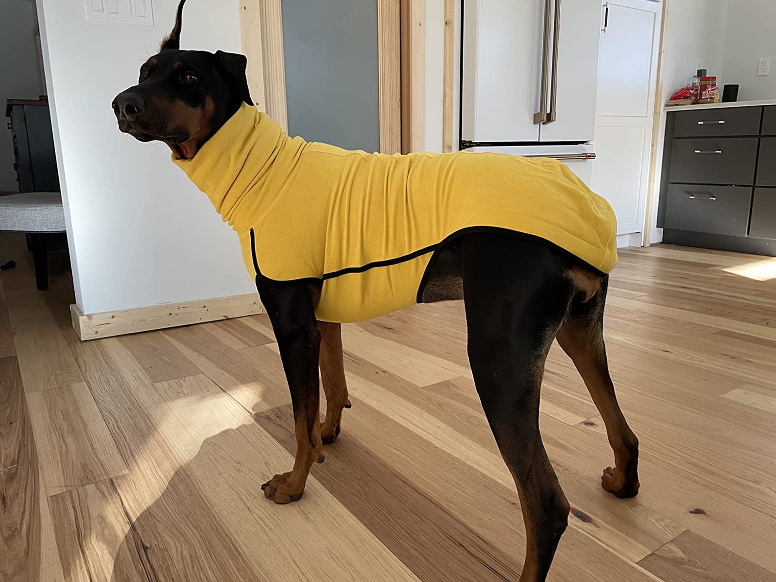 Esobo diseño resistente, abrigo de forro polar para tres estaciones.