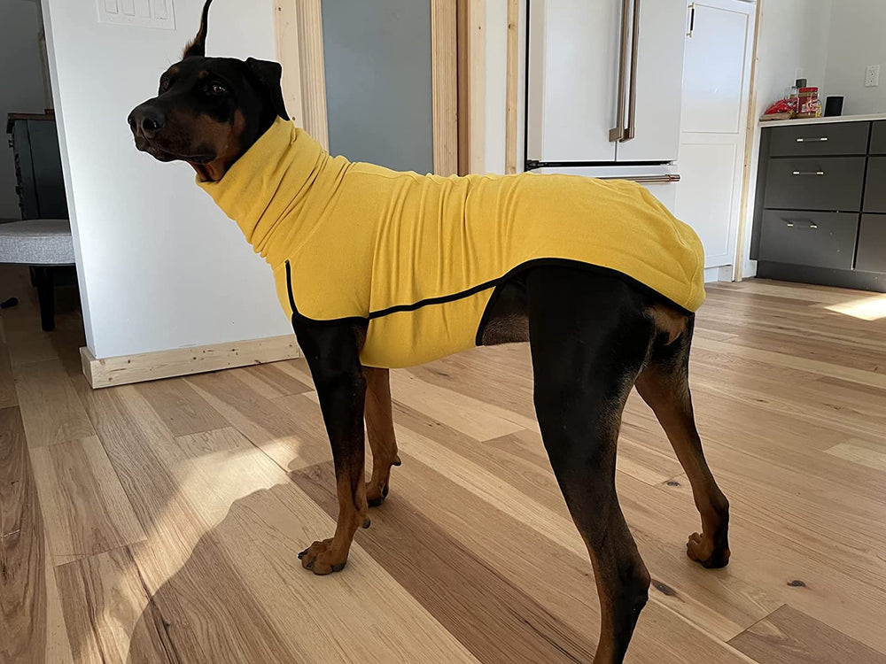 Esobo diseño resistente, abrigo de forro polar para tres estaciones.