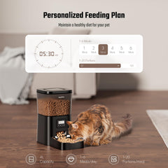 Espelho alimentador automático, panel y temporizador para programar comidas.