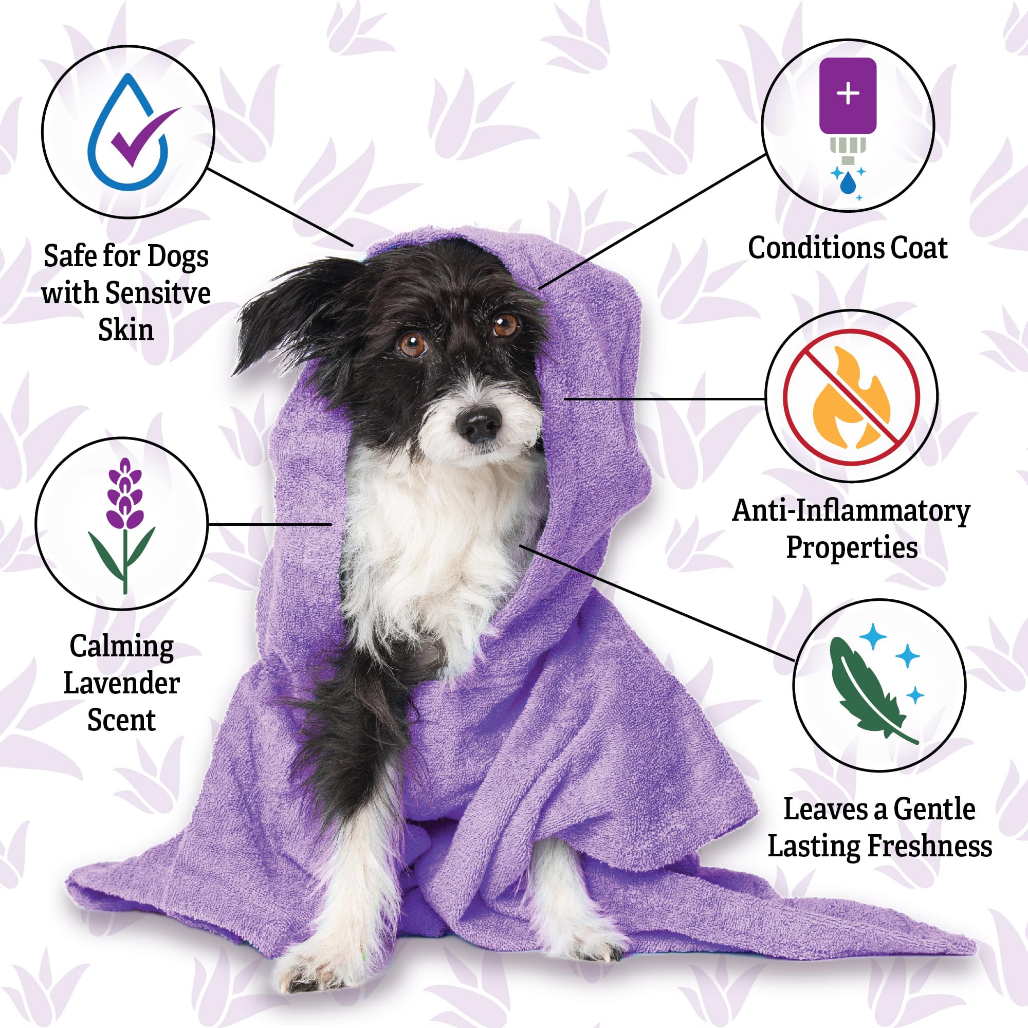 Espree Lavanda Calma: formato dos en uno para baño rápido y sencillo.