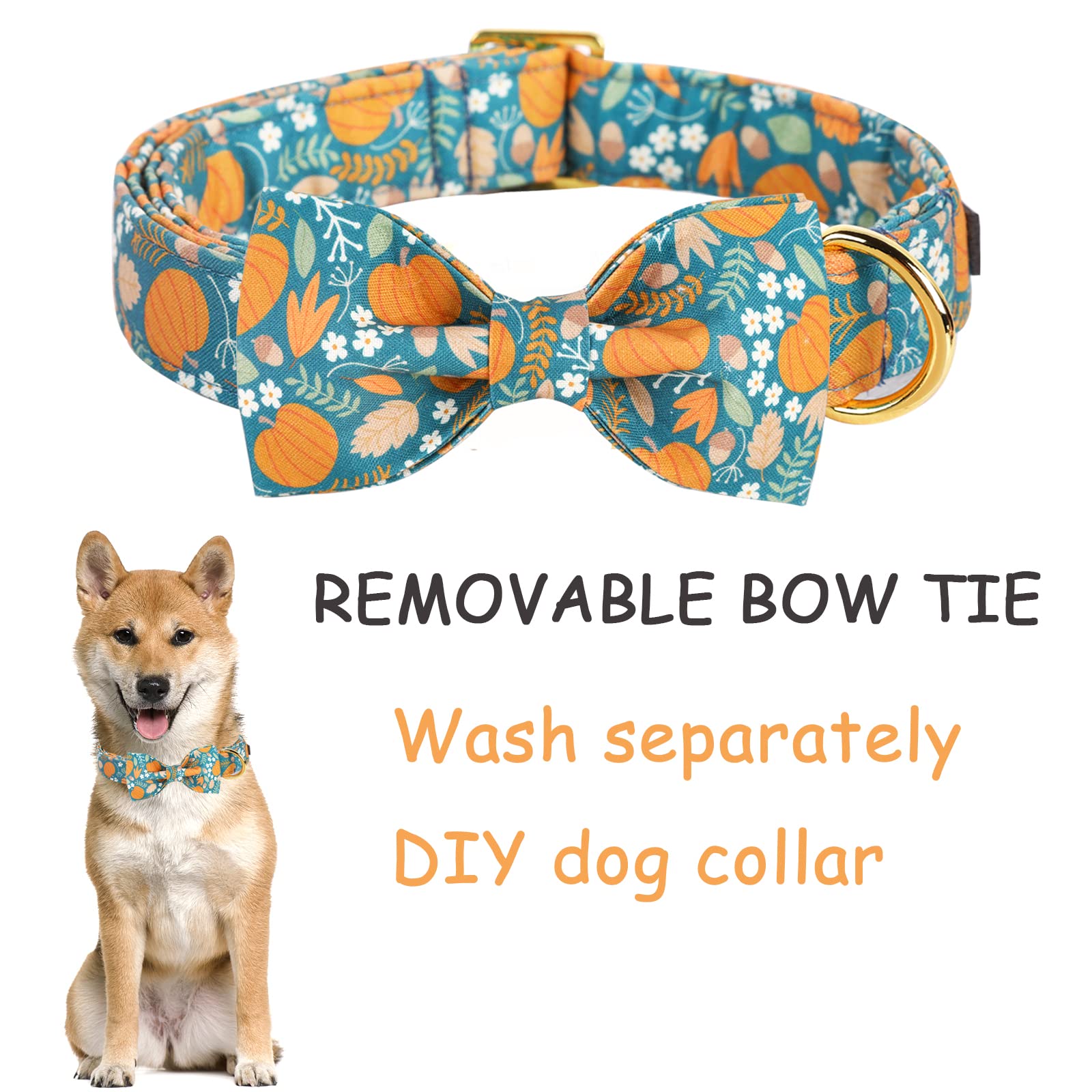 Collar ajustable estílo unico patas con anillo-en-d metálico resistente