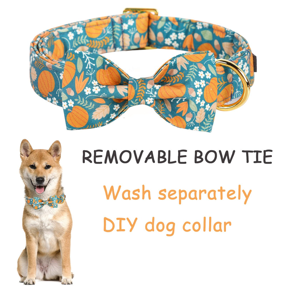 Collar ajustable estílo unico patas con anillo-en-d metálico resistente