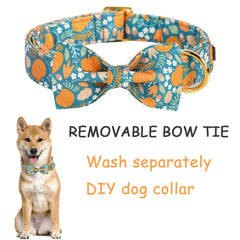 Collar ajustable estílo unico patas con anillo-en-d metálico resistente