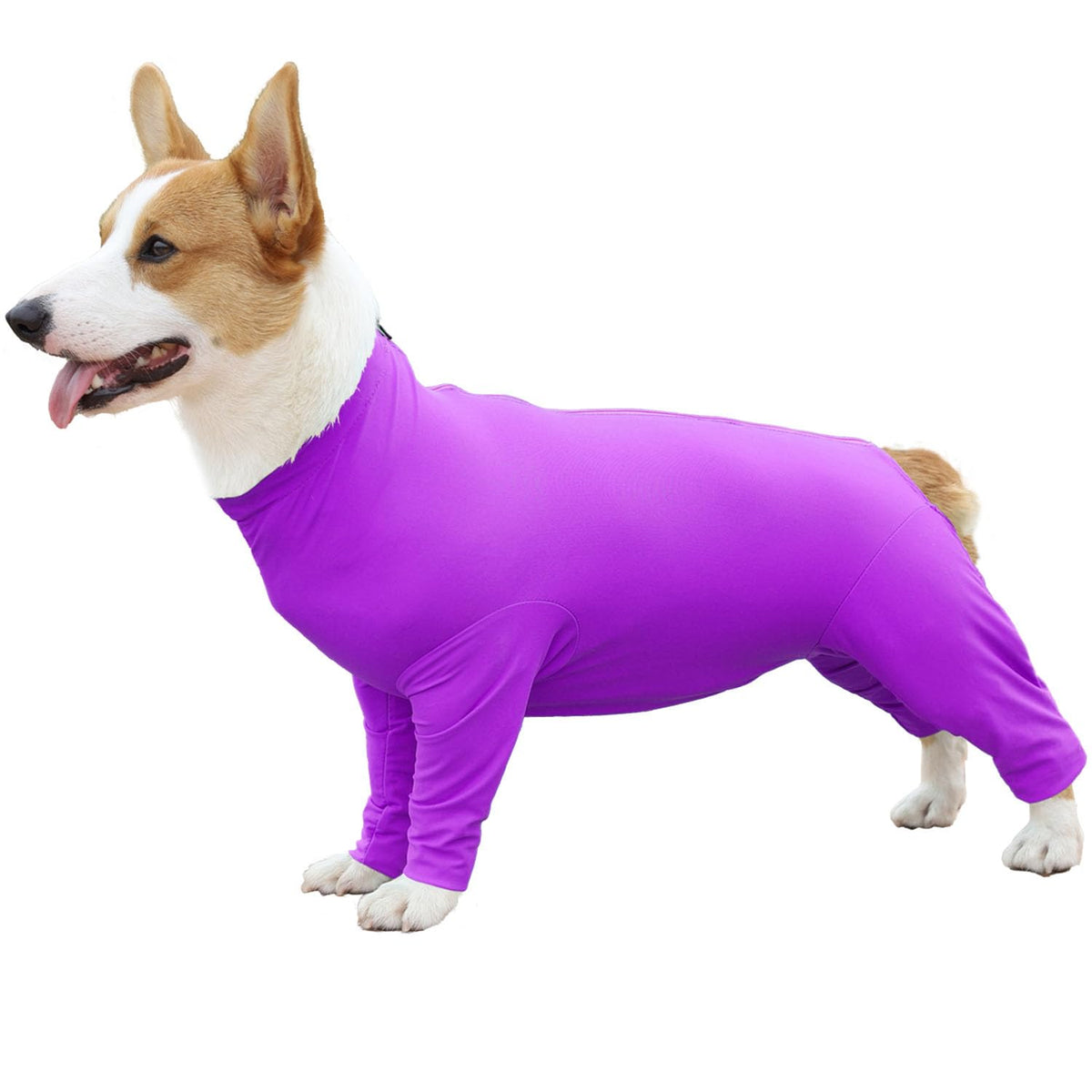 Etdane mono de recuperación para perros posquirúrgicos morado protege heridas y promueve comodidad