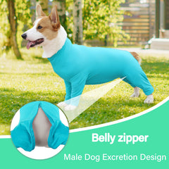 Protección postoperatoria ETDANE para perro azul XS evita lamidos