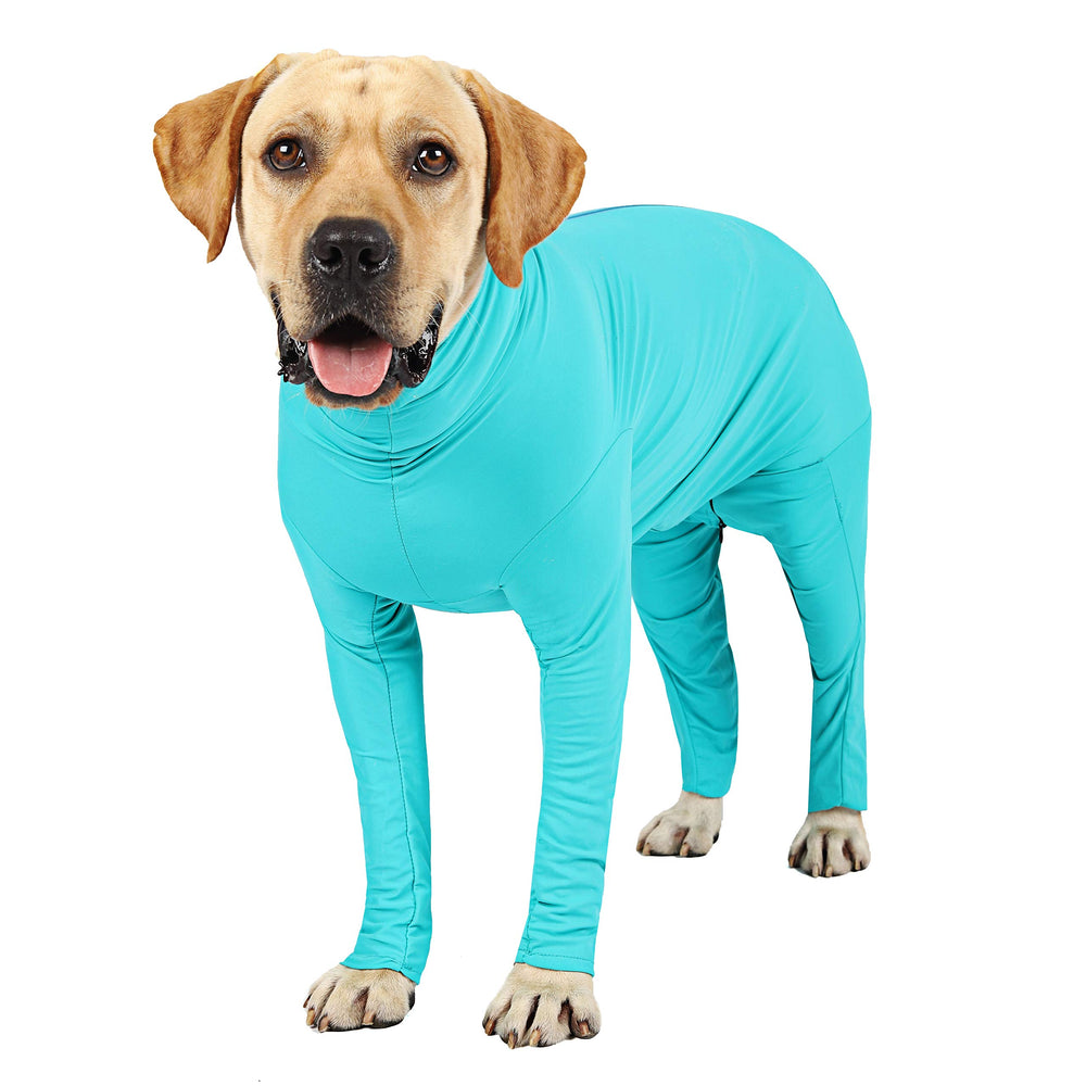 Funda de recuperación ETDANE para perros azul XS en uso suave y cómodo