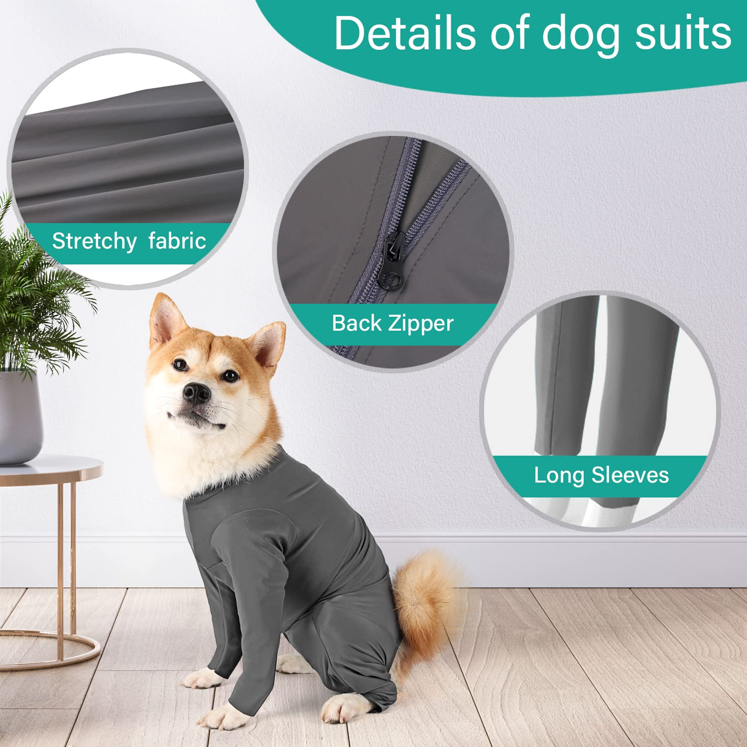 Etdane traje recuperación para perro – cremallera trasera, vestir con facilidad