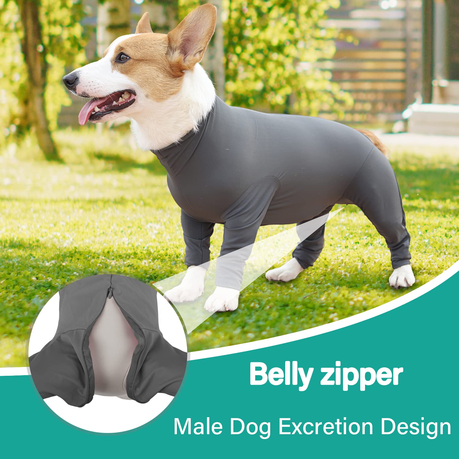 Etdane traje recuperación para perro – vista dorsal con protección