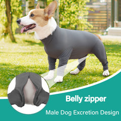Etdane traje recuperación para perro – vista dorsal con protección