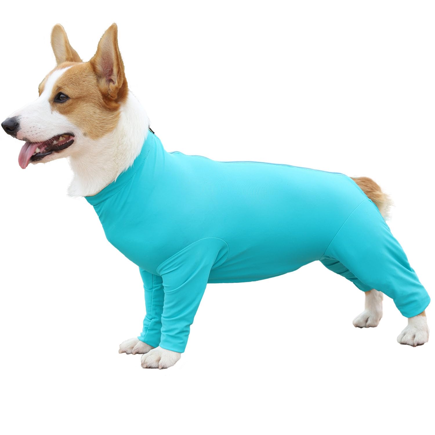 Etdane traje de recuperación para perro, vista frontal, aporta comodidad durante la recuperación