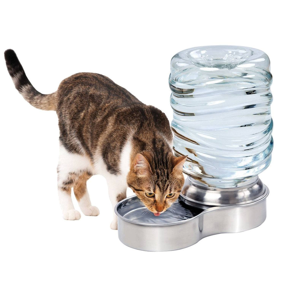 Etna bebederos automático para mascotas con capacidad de 3 litros, agua fresca y flujo constante.