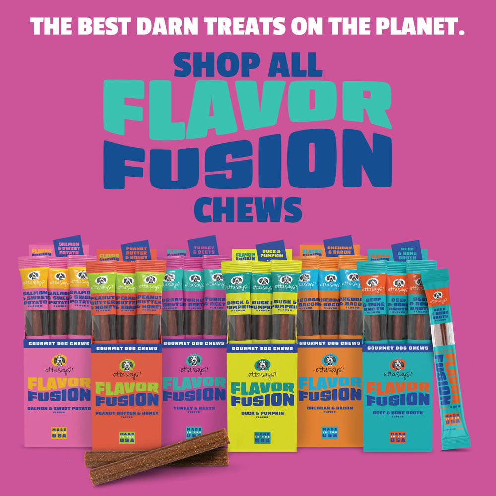 etta says! Flavor Fusion perro disfrutando premio natural para dientes sanos