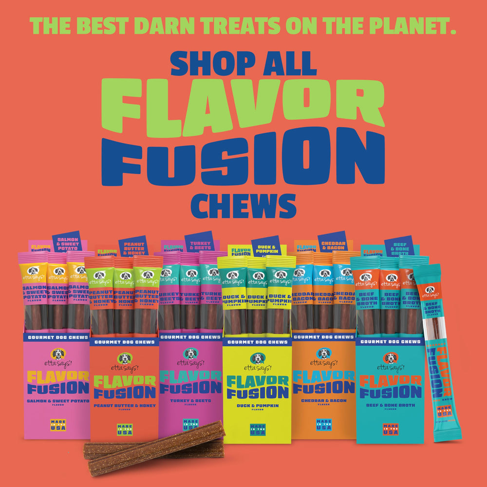 etta says! Flavor Fusion presentación de 12 unidades: compra conveniente para perros