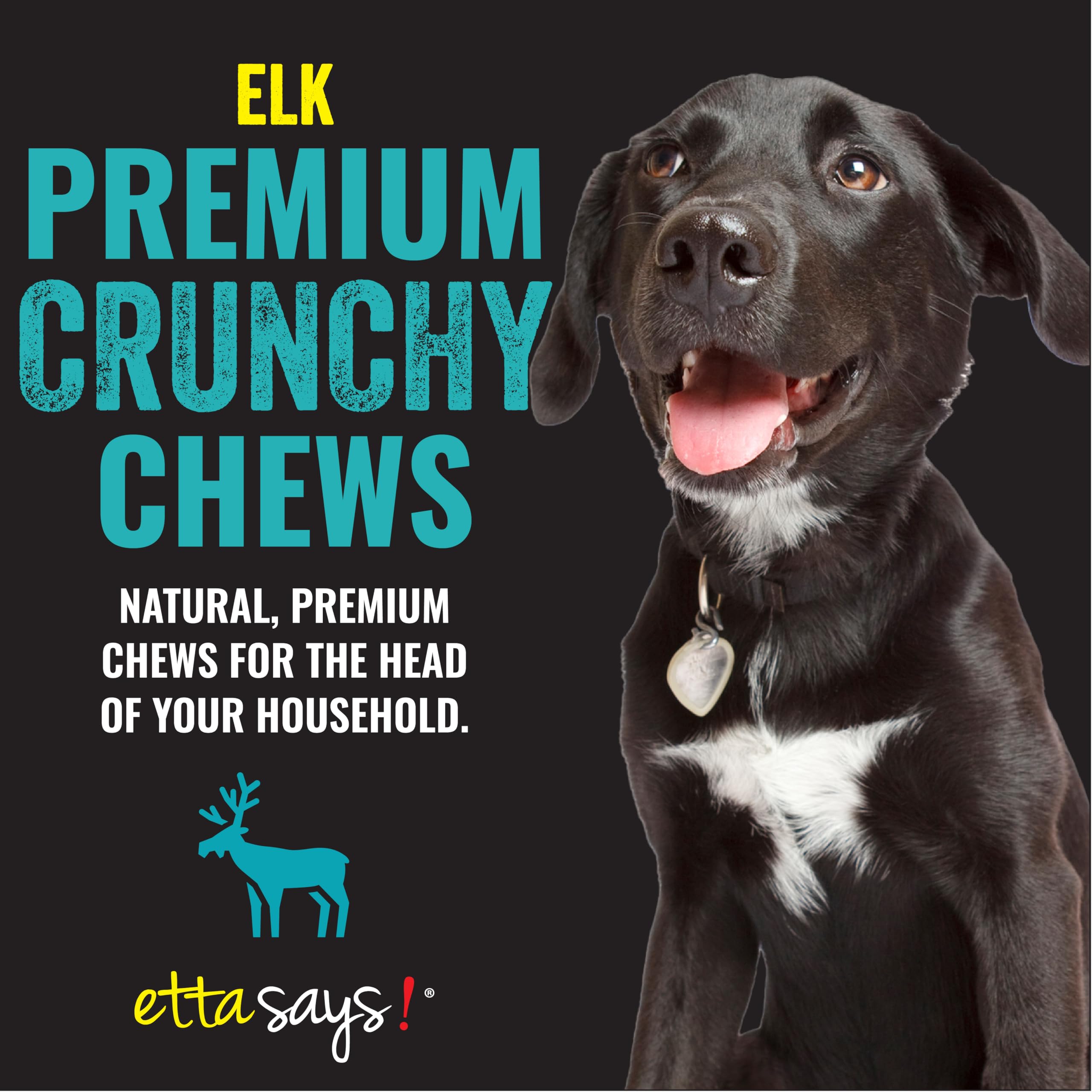 etta says! Masticable de alce de 7 pulgadas en acción, mantiene el perro interesado