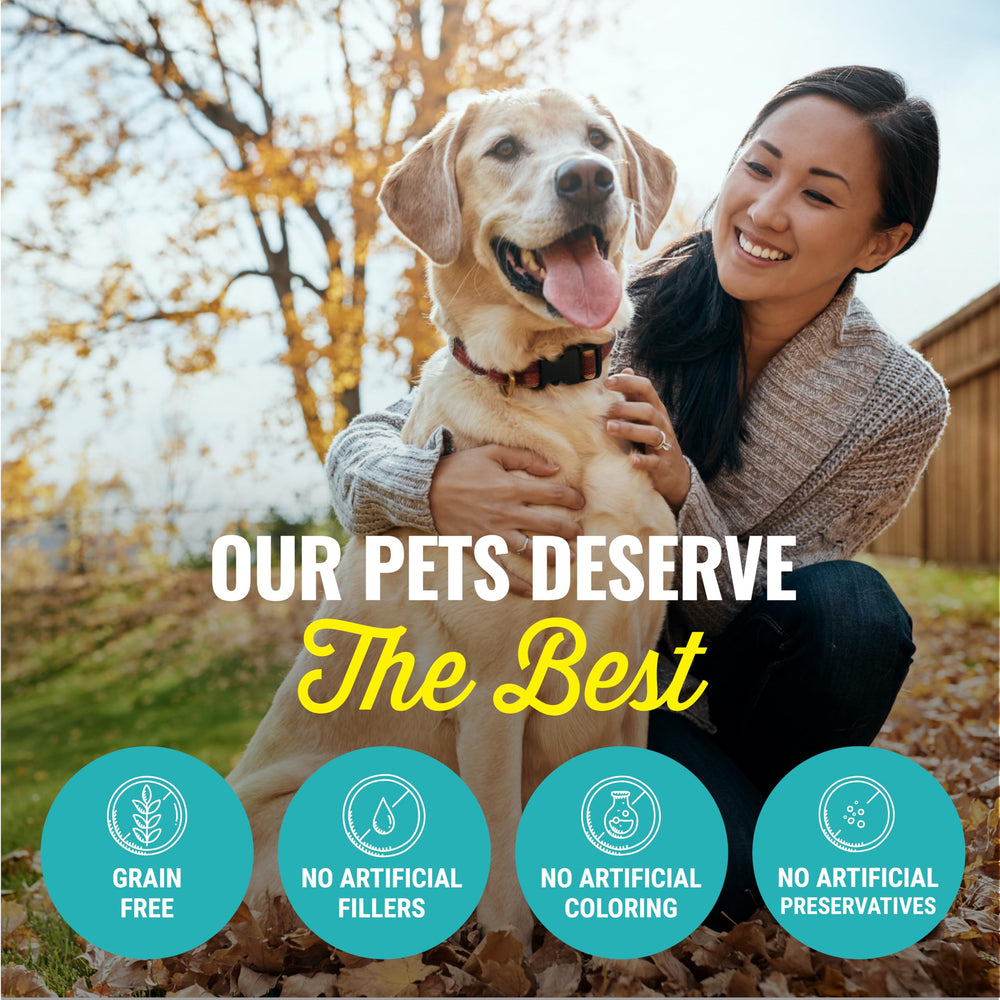 etta says! Alce sin granos, natural y fácil de digerir para perros sensibles