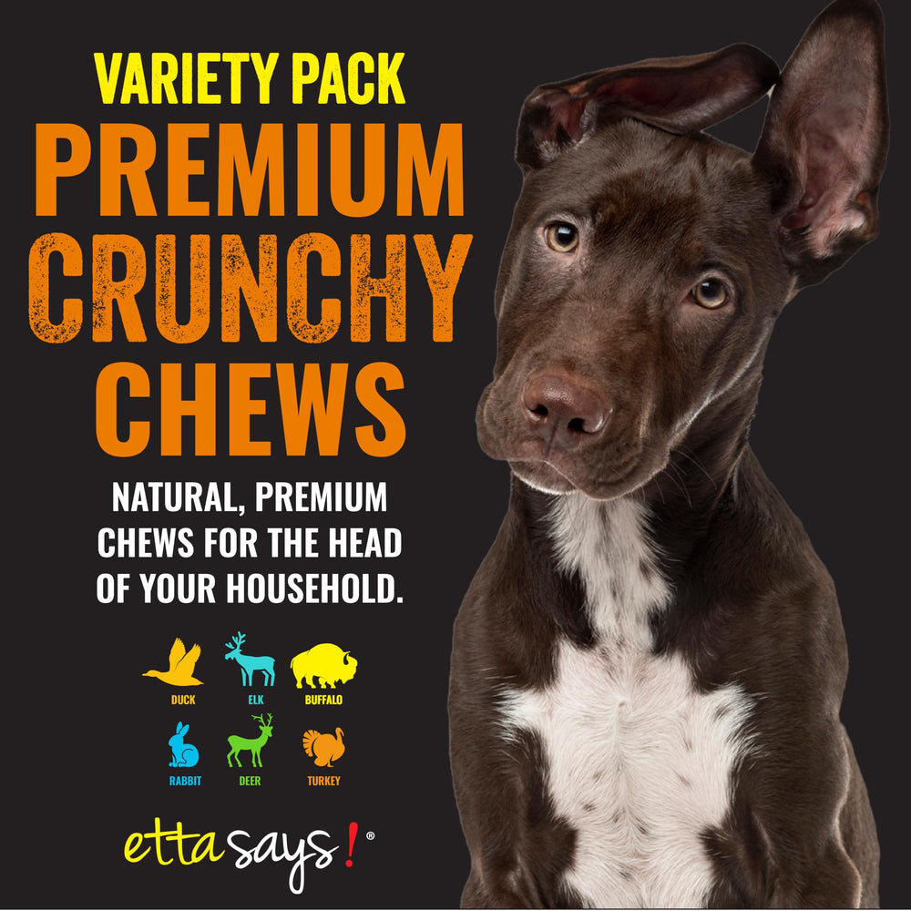 etta says! croquetas crujientes sabor conejo para perros activos y curiosos