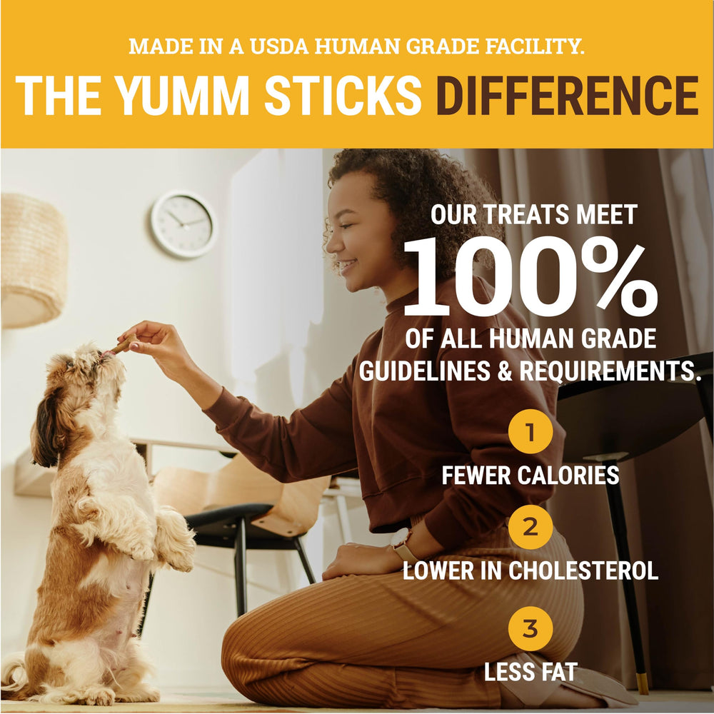 etta says! Yumm Sticks: perro feliz con snack durante juego.