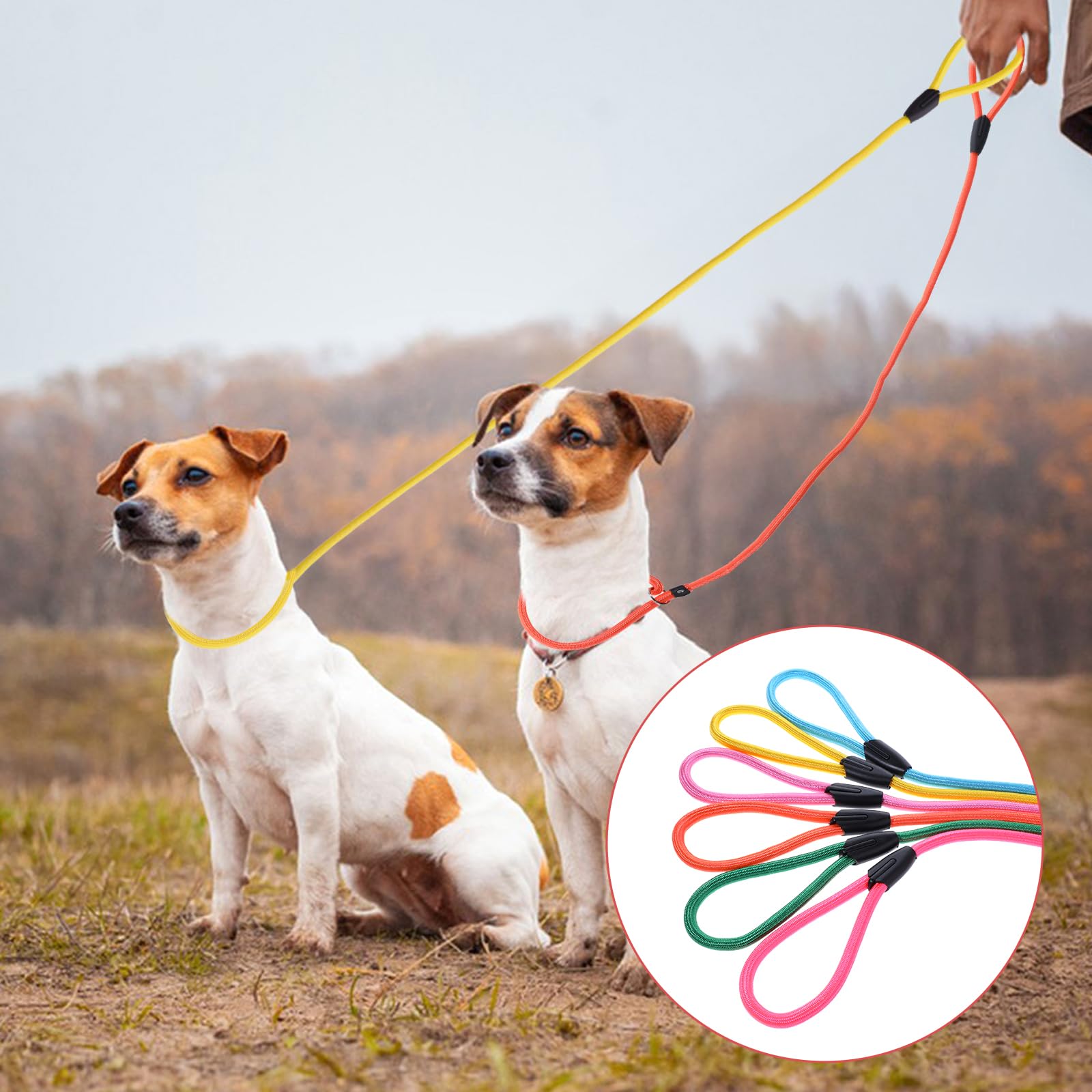 Correa EupHHonycs para paseos y entrenamiento, ideal para perros pequeños y medianos.