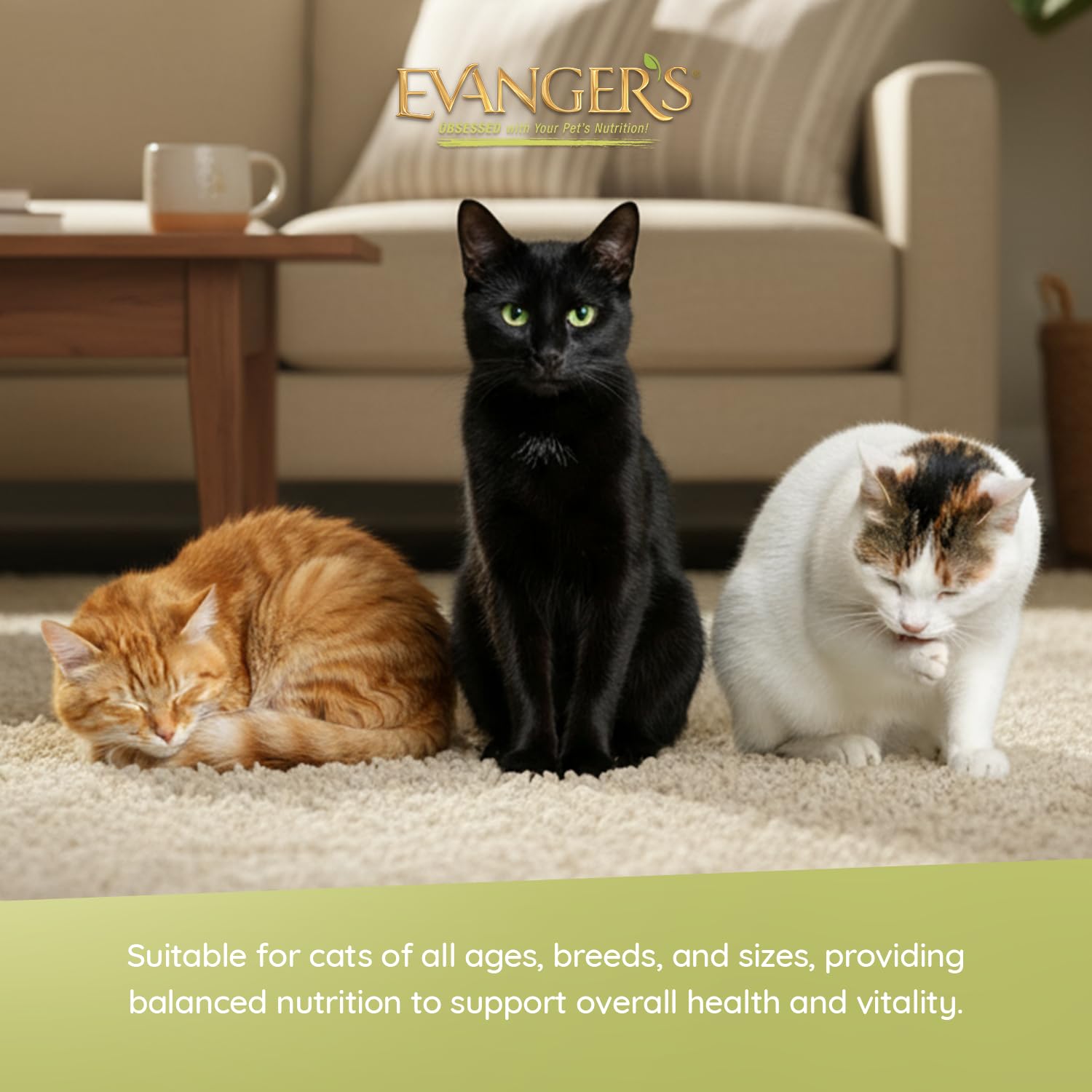 Envase sin BPA de Evanger’s, fácil de reciclar para hogares con varios gatos.