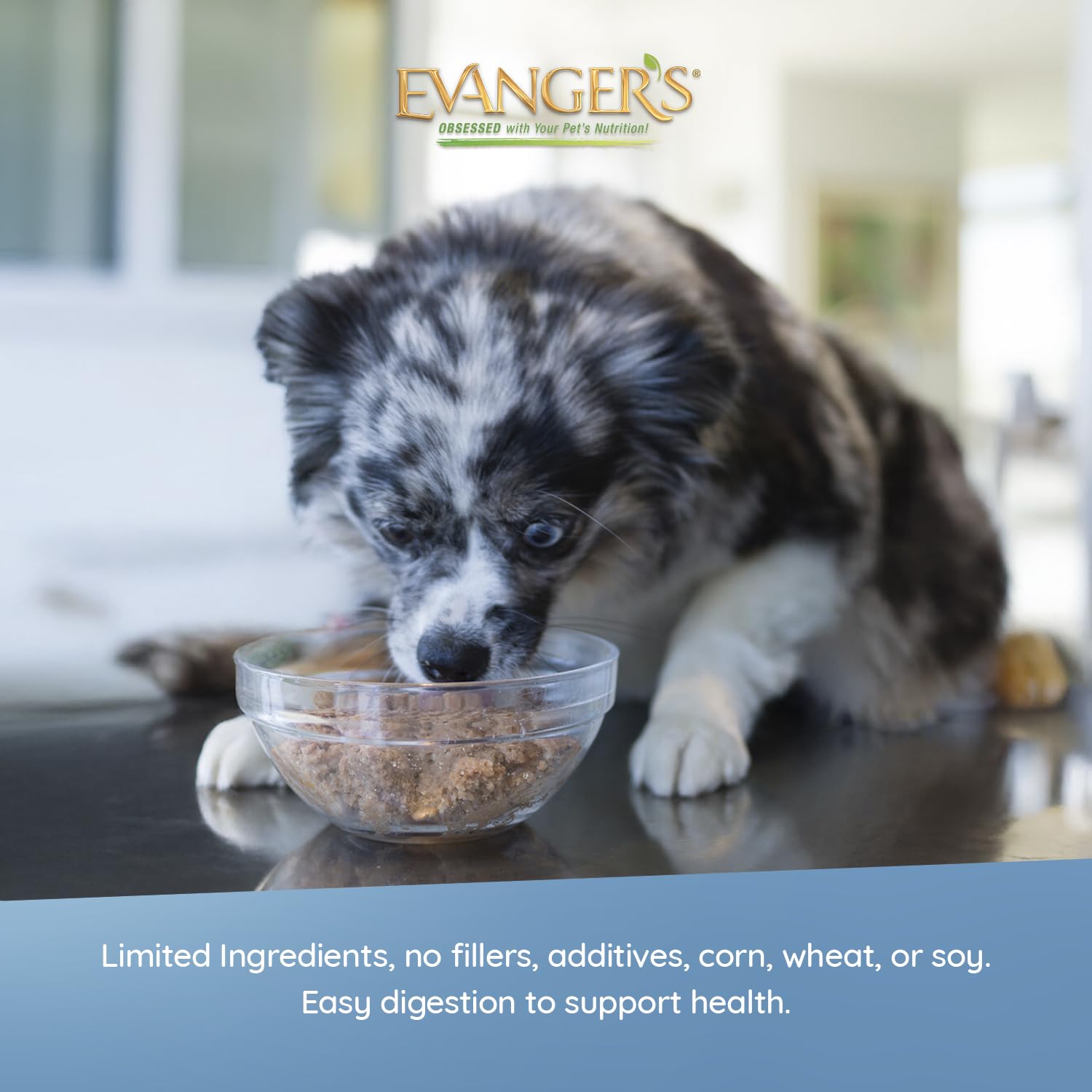 Ingredientes locales de Evanger's, proteína real para energía diaria.