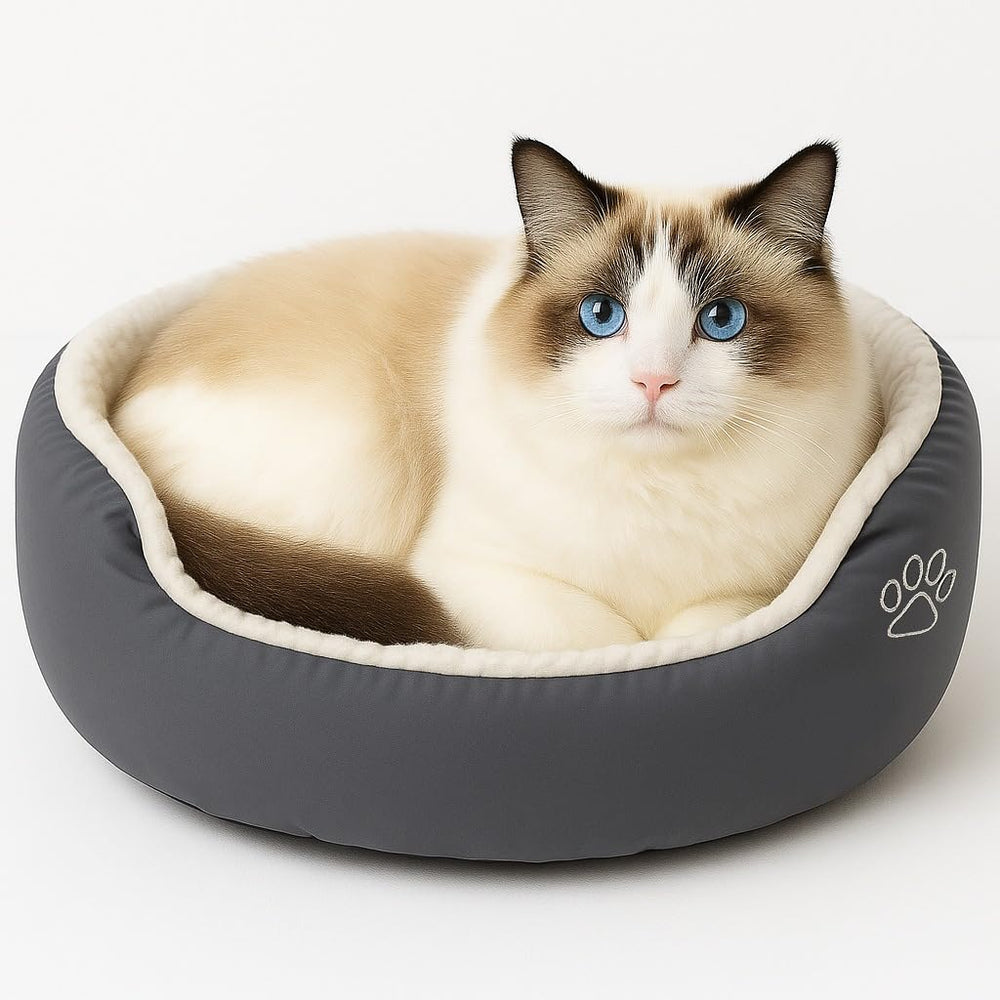 Cama Evelots para gato donut vista frontal refugio cálido para siestas tranquilas
