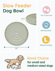 Evenco dimensiones 7,5 pulgadas x 1,3 pulgadas apto para perros pequeños.