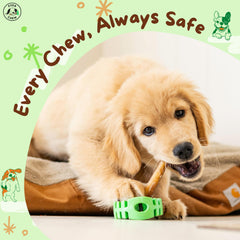 EverChew bully-stick de 6 pulgadas perforado: se fija en soporte.