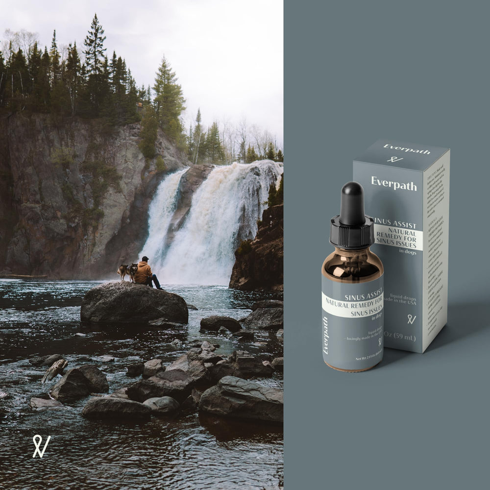 Everpath para perros: uso seguro y natural para apoyo sinusal.
