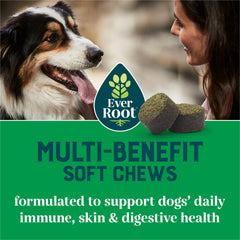 EverRoot gominolas para perros, textura suave, fácil de masticar como snack diario