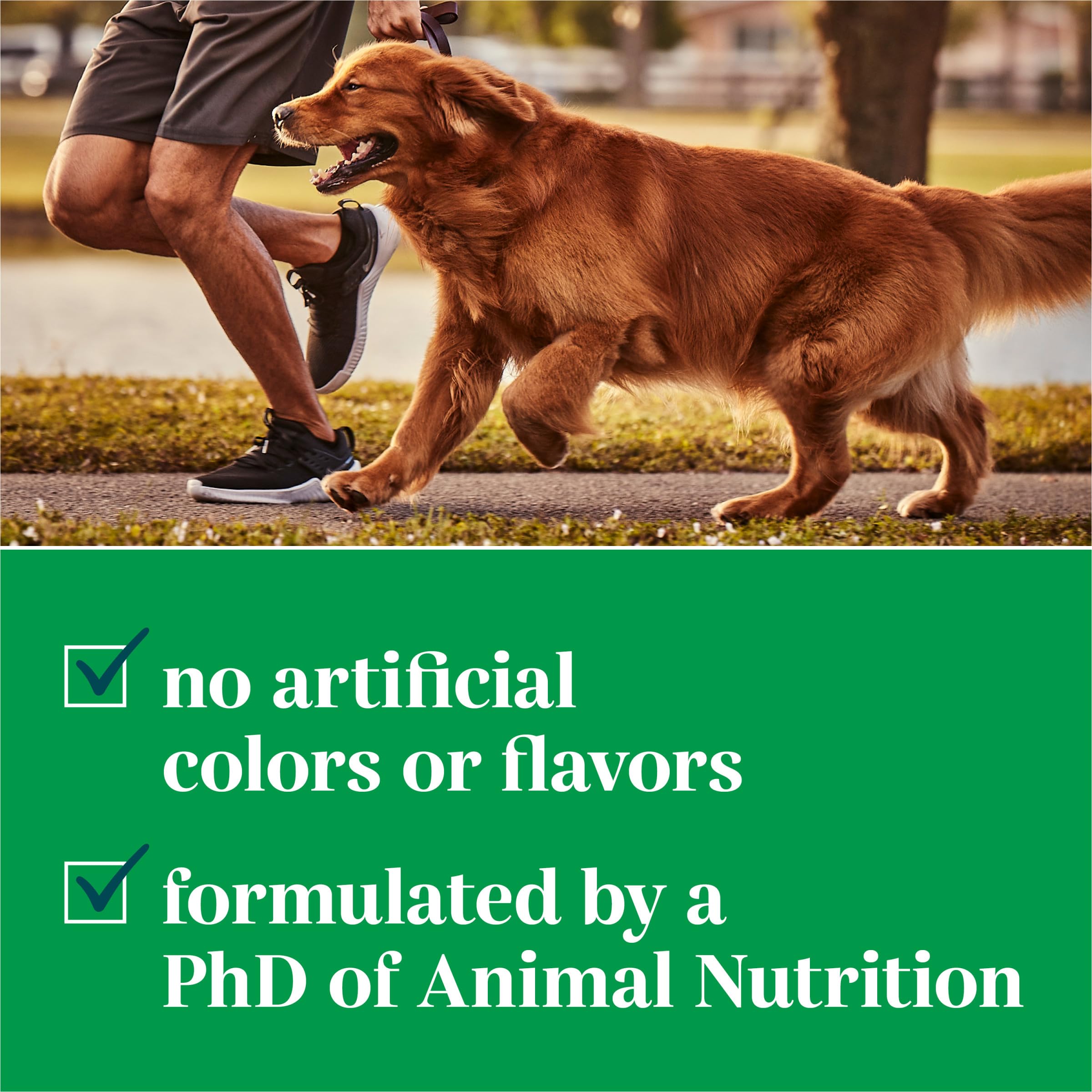 EverRoot gominolas para perros, uso diario recomendado para hábitos de nutrición equilibrada