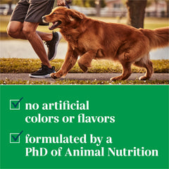 EverRoot gominolas para perros, uso diario recomendado para hábitos de nutrición equilibrada