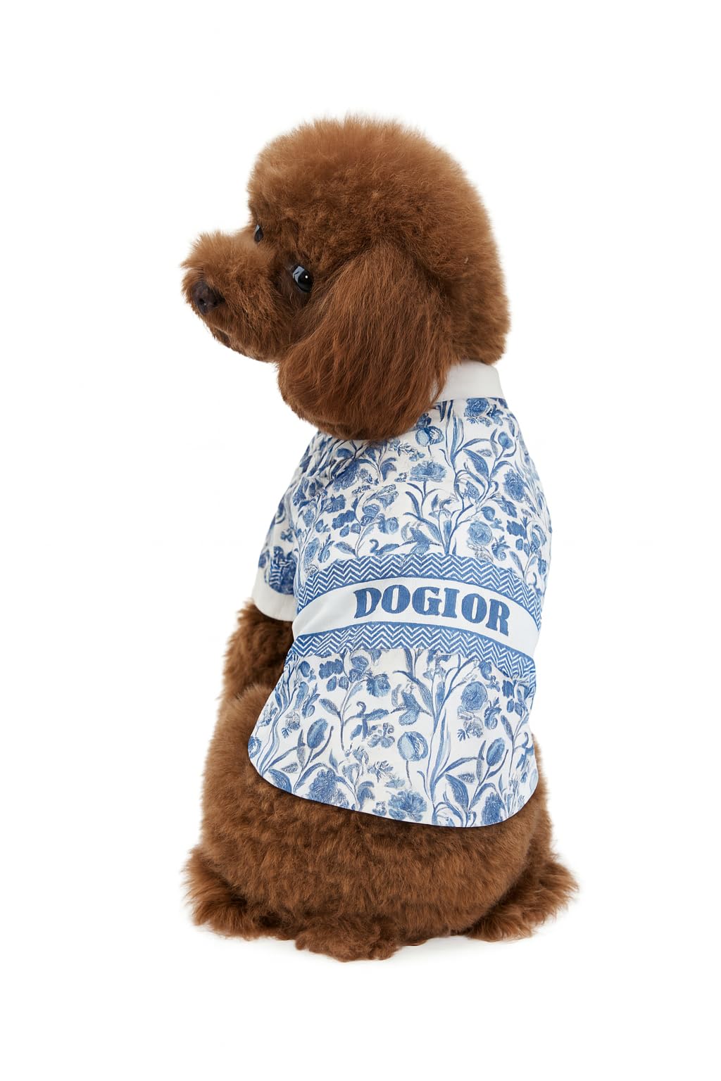 Camiseta de la marca Everything Chic para bulldog francés, ideal para paseos con estilo.