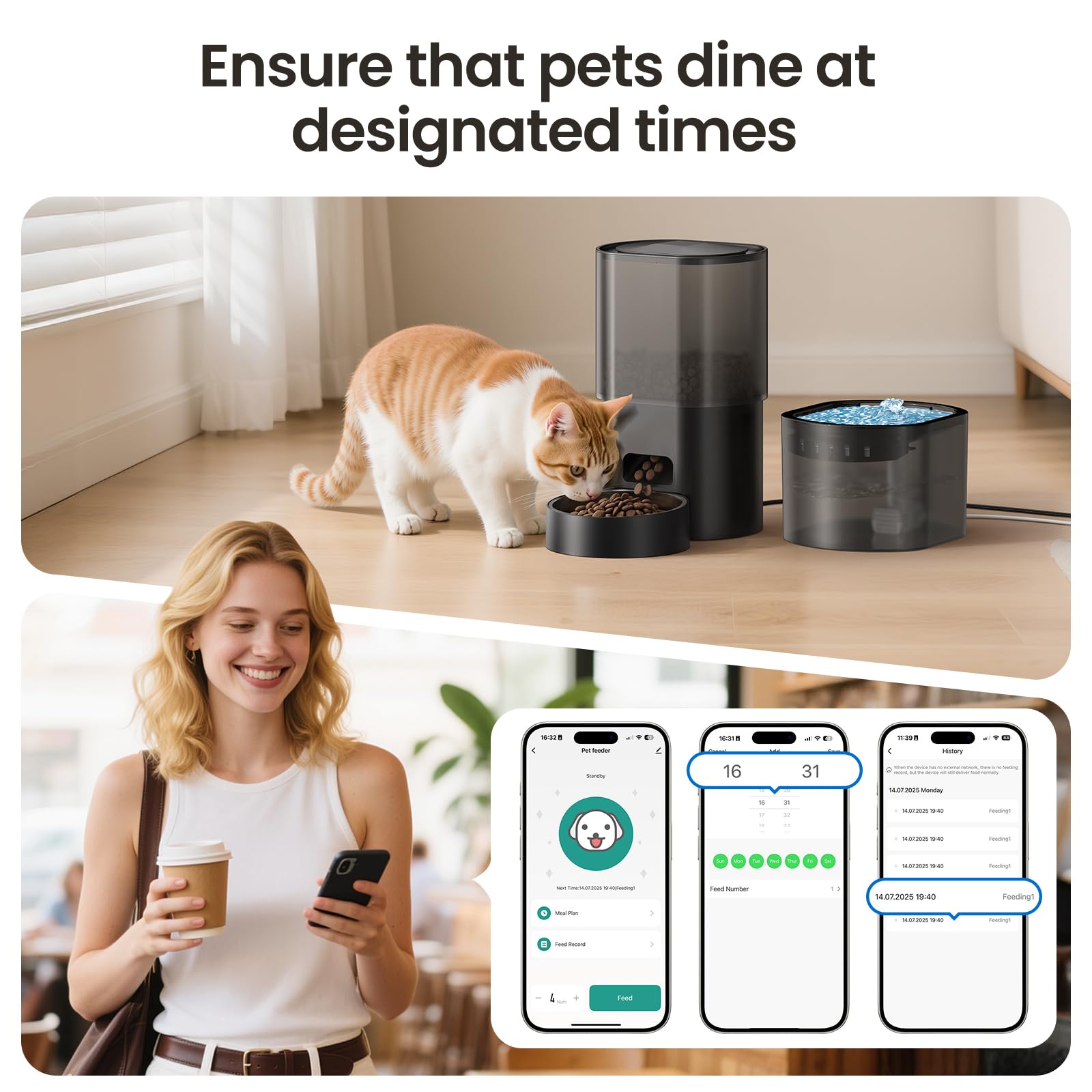 Evoliq para hogares con varios gatos y horarios.