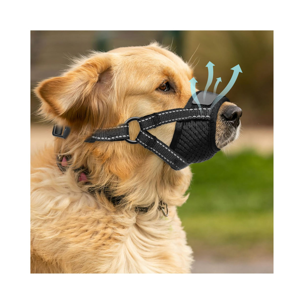 Bozal Evollax para perro con malla de aire, ventilación y confort para uso prolongado.