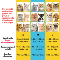 EWES diseño arcoíris de collar para gato, aporta color y bienestar